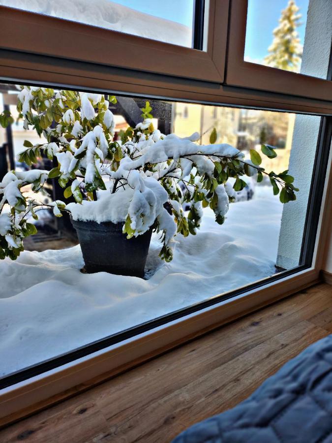 Lions Place Premium Apartments Comfort Optionaler Zugang Zum Spa- Bereich Гайденгайм-ан-дер-Бренц Екстер'єр фото